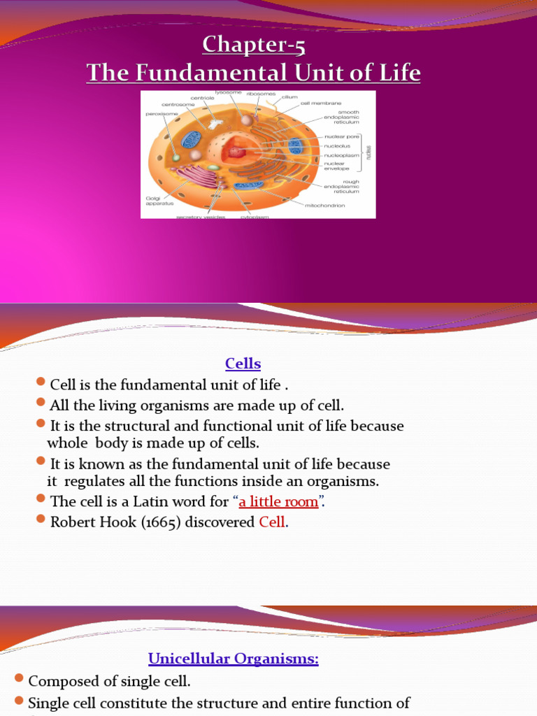 Grade-9 Cbse Chapter-5 Revision Notes | PDF | Cell (Biology) | Cell ...