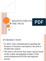 Regions and Triangles of the Neck