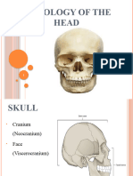 Osteology of The Head