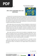 Arte e sua importância