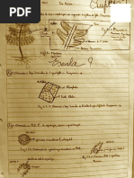 registos reprodução fetos 11ºA