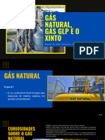 Gás Natural, Gás GLP e o Xinto - 20240305 - 130112 - 0000