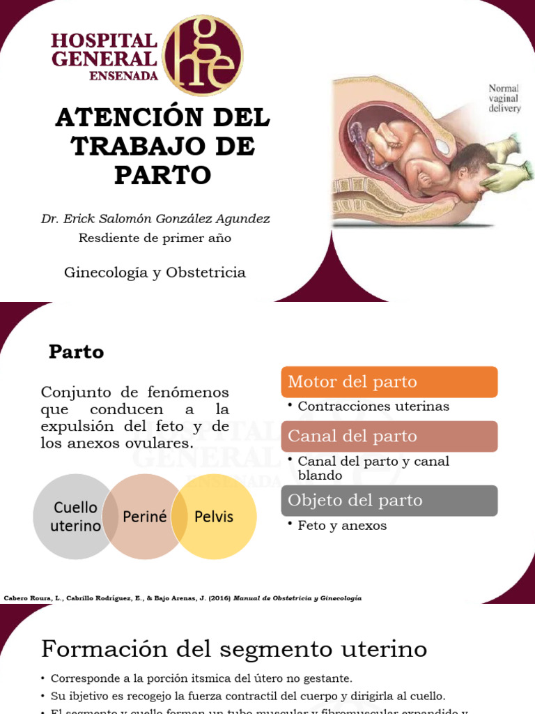 Atencion Del Trabajo de Parto | PDF | Parto | Vagina