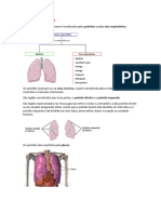 Apontamentos Frequência 2