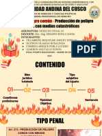 Delitos de peligro común - Producción de peligro común con medios catastróficos