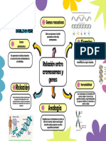 Relación Entre Cromosomas y Genes - 20240407 - 110802 - 0000