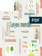 Leyes Mendel - 20240407 - 120809 - 0000