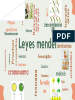 Leyes Mendel_20240407_120809_0000