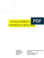 Portafolio N1