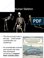 11 LS Skeleton PPT