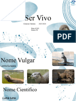 Ser Vivo Ciências Naturais