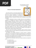 Estrutura e Comunicaçao Organizacional