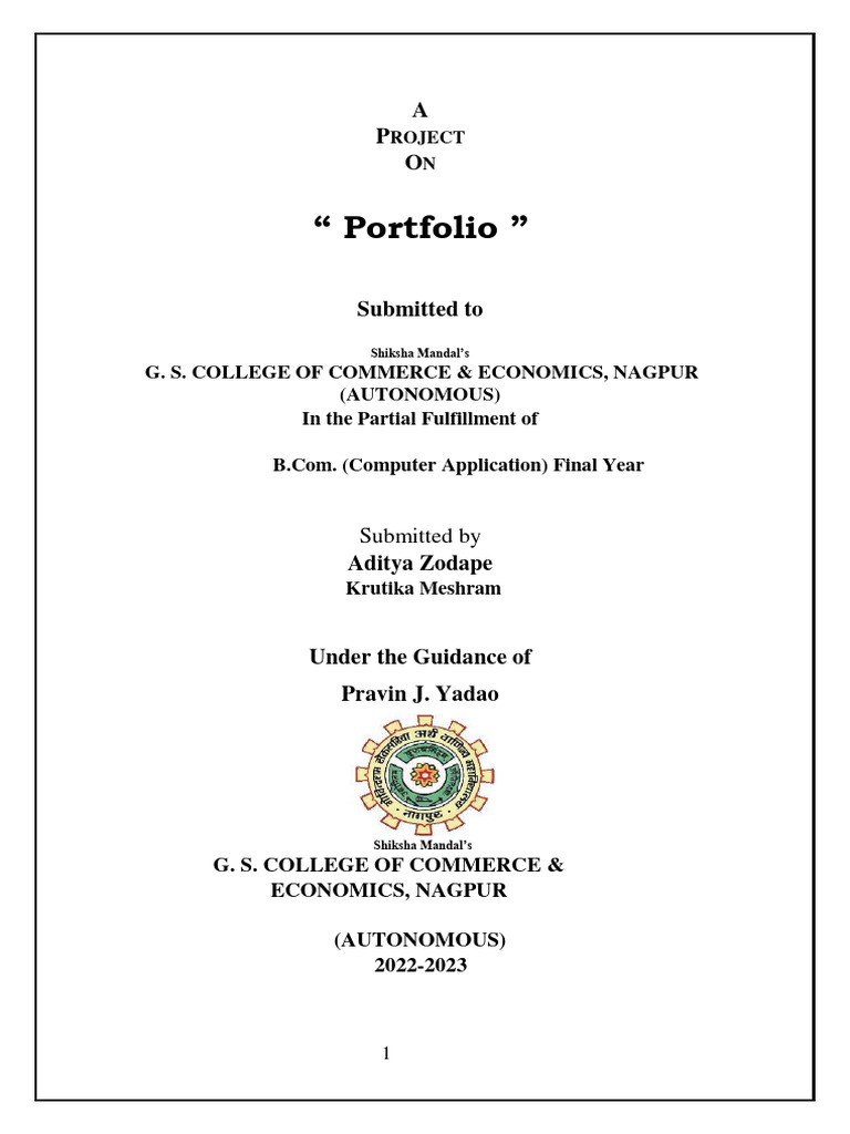  portfolio g s college of commerce economics nagpur