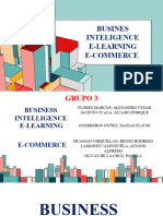 Busines Inteligence, E-Learning and E-Commerce
