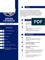 Bryan Levizaca - Curriculum