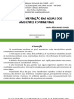 compartimentação dos ambientes continentais