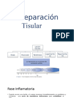 Reparacion Tisular en La Fisioterapia