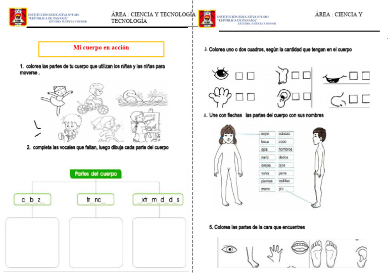 Ficha de Ciencia y Tecnolgis Primer Grado | PDF