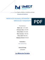 Investigacion de musculos faciales y otros.