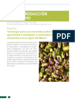 Guia Productiva Del Pistacho