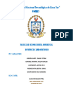 Informe 2 de Quimica