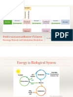 9-ชีวพลังงานและเมแทบอลิซึมของคาร์โบไฮเดรต