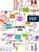 PDF Inflamacion Aguda 1