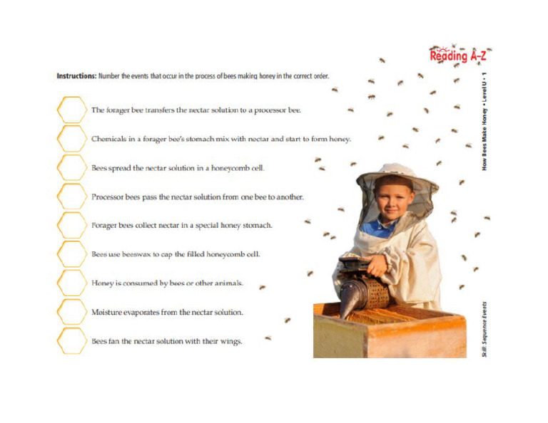 Honey Bees | PDF