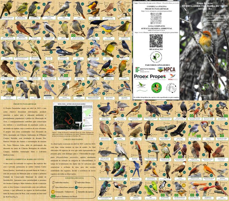 Guia de Aves da Reserva Barra do Vento | PDF | Pássaros da América do ...