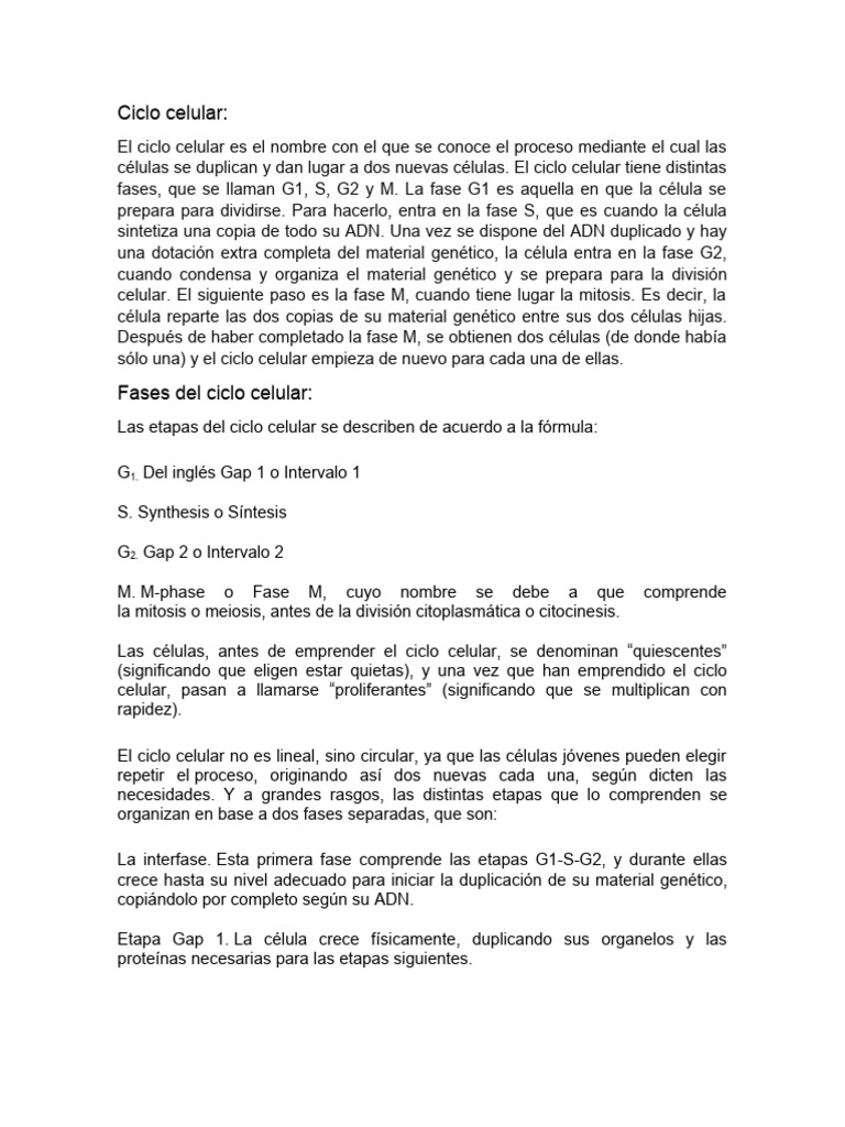 Fases del Ciclo Celular y División Celular | PDF | Mitosis | Mitosis