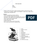 Histologia - Homeostasia - Letícia e Ingrid