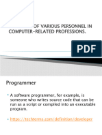 THE ROLES OF VARIOUS PERSONNEL IN COMPUTER-RELATED PROFESSIONS