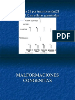 Malformaciones Congenitas