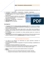 Resumen Embrio 1 Fecundación y presomitico