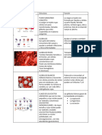 Informe Tejido Sanguineo