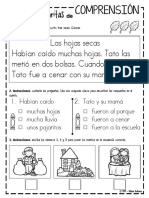 Lecturitas de comprensión para principiantes 