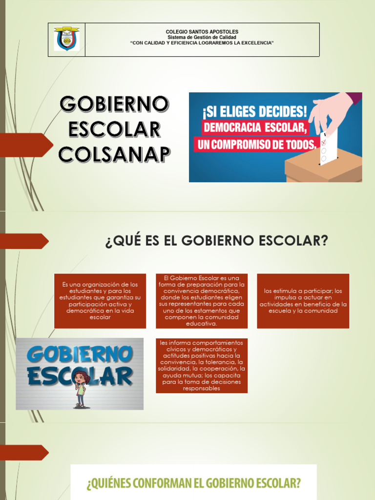 Estructura y Funciones del Gobierno Escolar | PDF | Plan de estudios