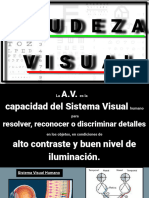 Diapositivas Agudeza Visual