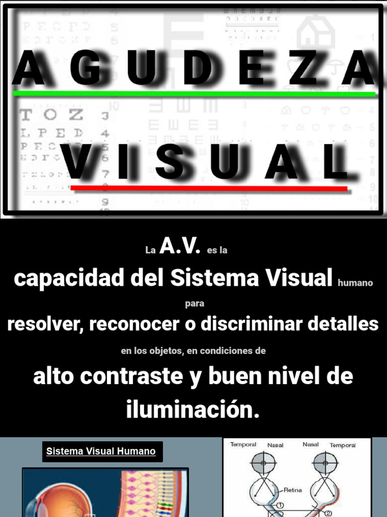 Agudeza Visual y Sistema Visual Humano | PDF | Percepción visual | Óptica