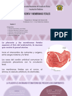 Placenta y Membranas Fetales