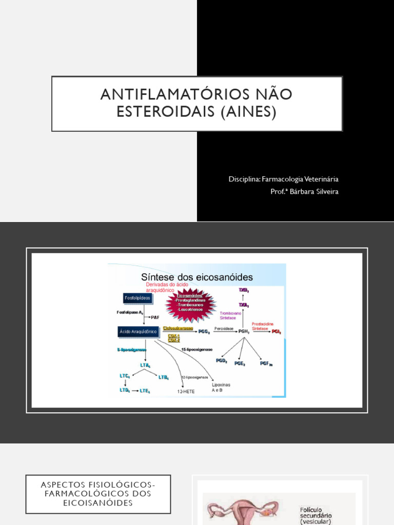 Aula 3 - Eicosanóides e Aines - DP | PDF | Aspirina | Anti-inflamatório ...