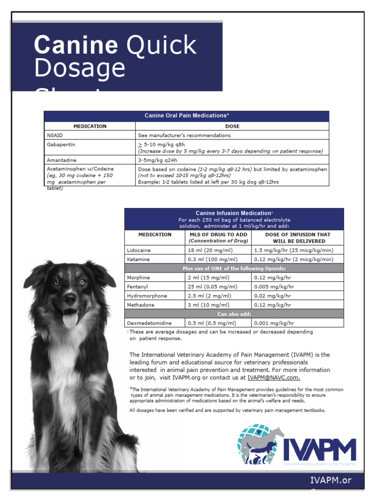 IVAPM Dosage Chart 2017 | PDF | Analgesic | Pain Management