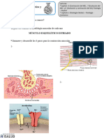 05 - Fisiología Muscular Esqulética y Lisa