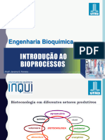 Aula 1-Introdução Ao Bioprocessos - Profa. Janaína