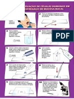 Protocolo Aluno Esfregaço Mucosa Bucal