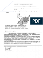 Evaluacioìn - Formativa - Fotosíntesis Pauta