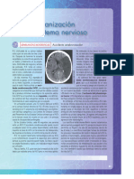 Cap 3 NEUROPSICOLOGIA HUMANA