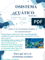 Copia de Aquatic and Physical Therapy Center XL by Slidesgo