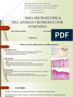 ANATOMIA MICROSCOPICA DEL APARATO REPRODUCTOR FEMENINO