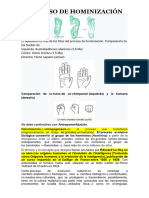 Proceso de Hominización (Texto y Preguntas)